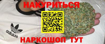 сатива Тара