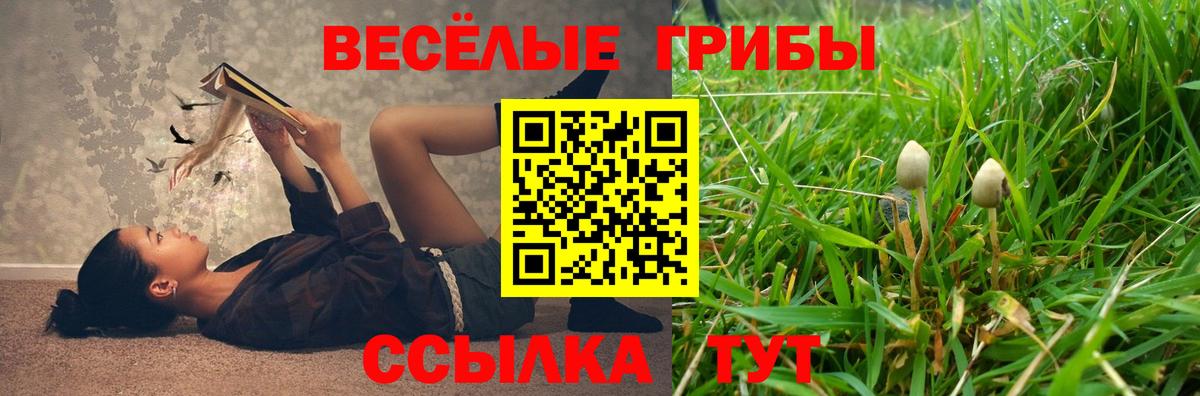 Галлюциногенные грибы ЛСД  Вход с VPN  Галлюциногенные грибы Cubensis  Минусинск 