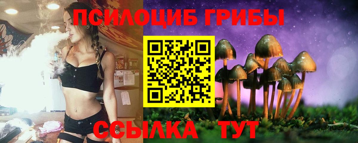 Псилоцибиновые грибы GOLDEN TEACHER Минусинск